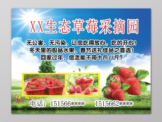 生态草莓采摘园生鲜水果冬天过年送礼宣传单